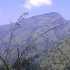 Beautiful Places in Ella